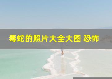 毒蛇的照片大全大图 恐怖